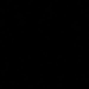 Meet your Posher, Damiond